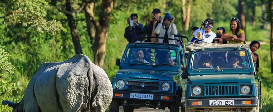 2-nights-3-days-kaziranga-national-park-tour-package-7079