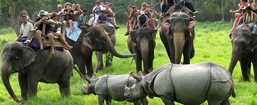 2-nights-3-days-kaziranga-national-park-tour-package-7081